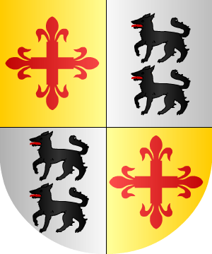ESCUDO SIGUIENTE