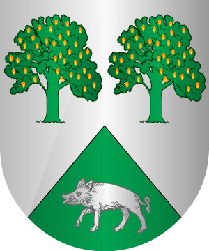 ESCUDO ALEATORIO