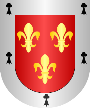 ESCUDO SIGUIENTE