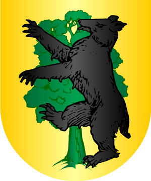 ESCUDO PRECEDENTE
