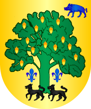 ESCUDO ALEATORIO
