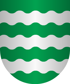 ESCUDO SIGUIENTE