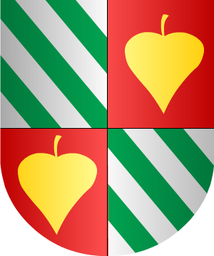 ESCUDO ALEATORIO
