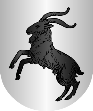 ESCUDO ALEATORIO