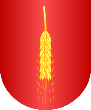 ESCUDO SIGUIENTE
