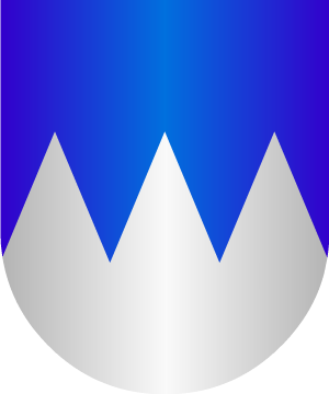 ESCUDO PRECEDENTE