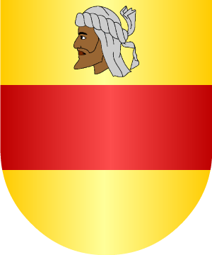 ESCUDO ALEATORIO