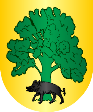 ESCUDO SIGUIENTE
