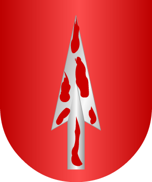 ESCUDO PRECEDENTE