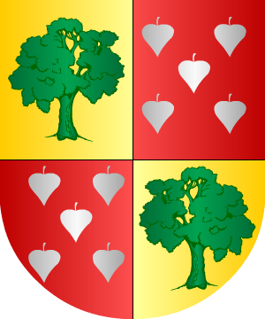 ESCUDO ALEATORIO