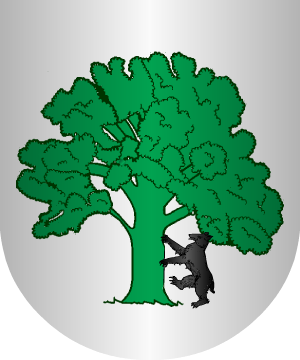 ESCUDO SIGUIENTE
