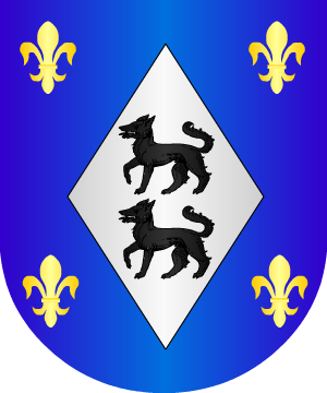 ESCUDO ALEATORIO