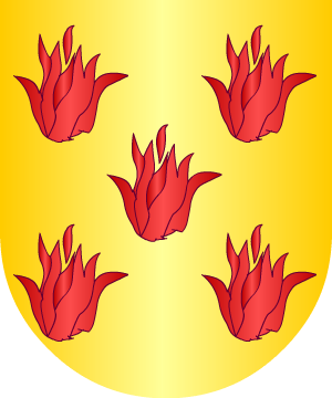 ESCUDO ALEATORIO