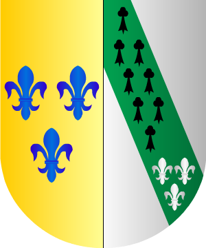 ESCUDO ALEATORIO