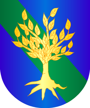 ESCUDO SIGUIENTE