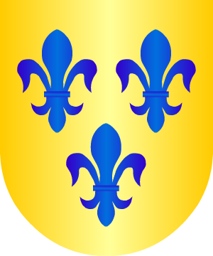 ESCUDO ALEATORIO