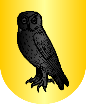 ESCUDO SIGUIENTE