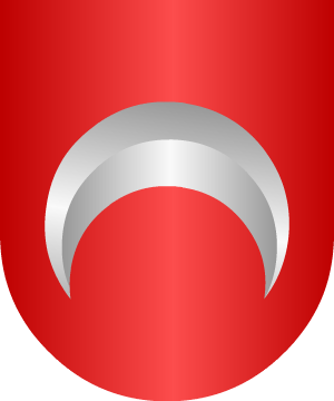 ESCUDO PRECEDENTE