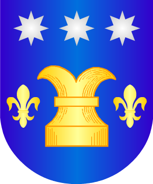 ESCUDO SIGUIENTE