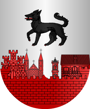 ESCUDO ALEATORIO