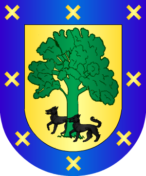 ESCUDO SIGUIENTE