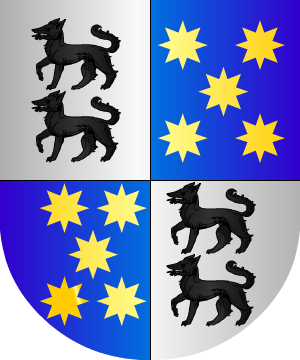 ESCUDO SIGUIENTE