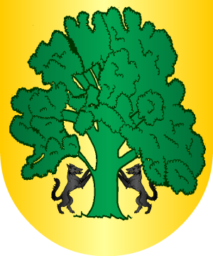 ESCUDO ALEATORIO