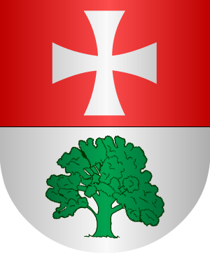 ESCUDO SIGUIENTE