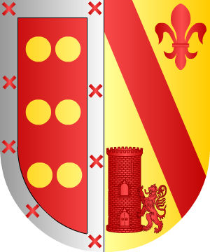 ESCUDO SIGUIENTE