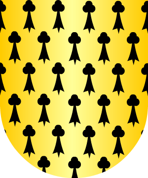 ESCUDO SIGUIENTE