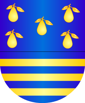 ESCUDO PRECEDENTE