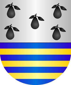 ESCUDO ALEATORIO