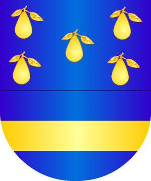 ESCUDO SIGUIENTE