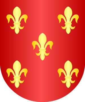 ESCUDO SIGUIENTE
