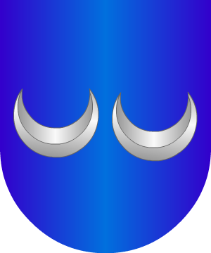 ESCUDO SIGUIENTE