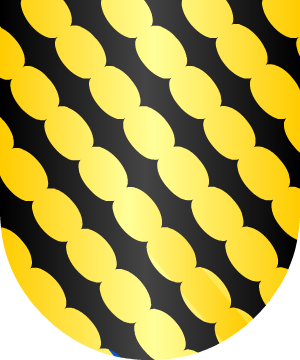 ESCUDO ALEATORIO