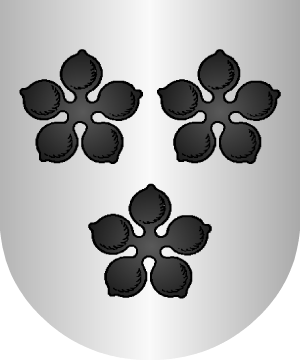 ESCUDO PRECEDENTE
