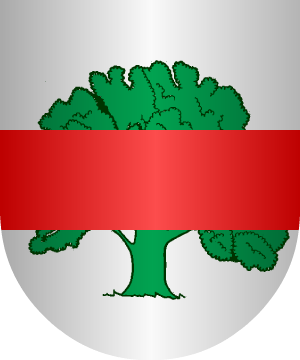 ESCUDO ALEATORIO