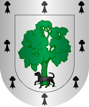 ESCUDO SIGUIENTE