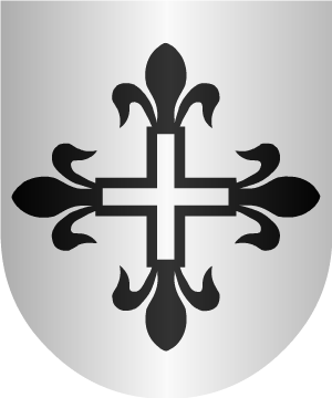 ESCUDO SIGUIENTE
