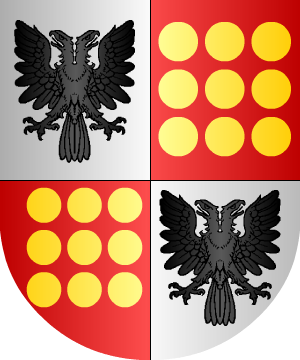 ESCUDO ALEATORIO