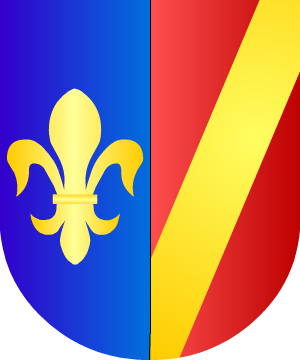 ESCUDO ALEATORIO