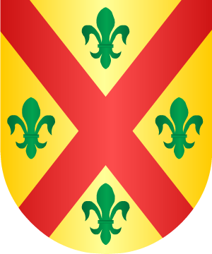 ESCUDO SIGUIENTE