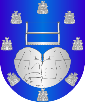 ESCUDO SIGUIENTE