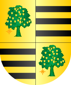 ESCUDO SIGUIENTE