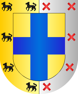 ESCUDO SIGUIENTE