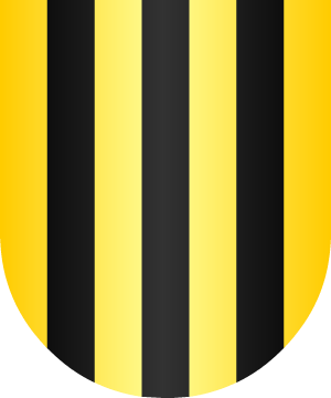 ESCUDO ALEATORIO