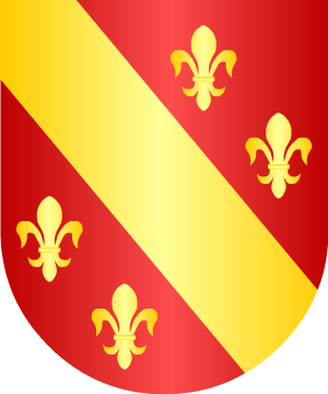 ESCUDO ALEATORIO