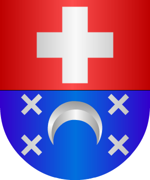 ESCUDO ALEATORIO