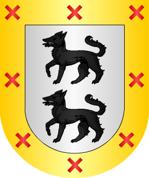 ESCUDO ALEATORIO